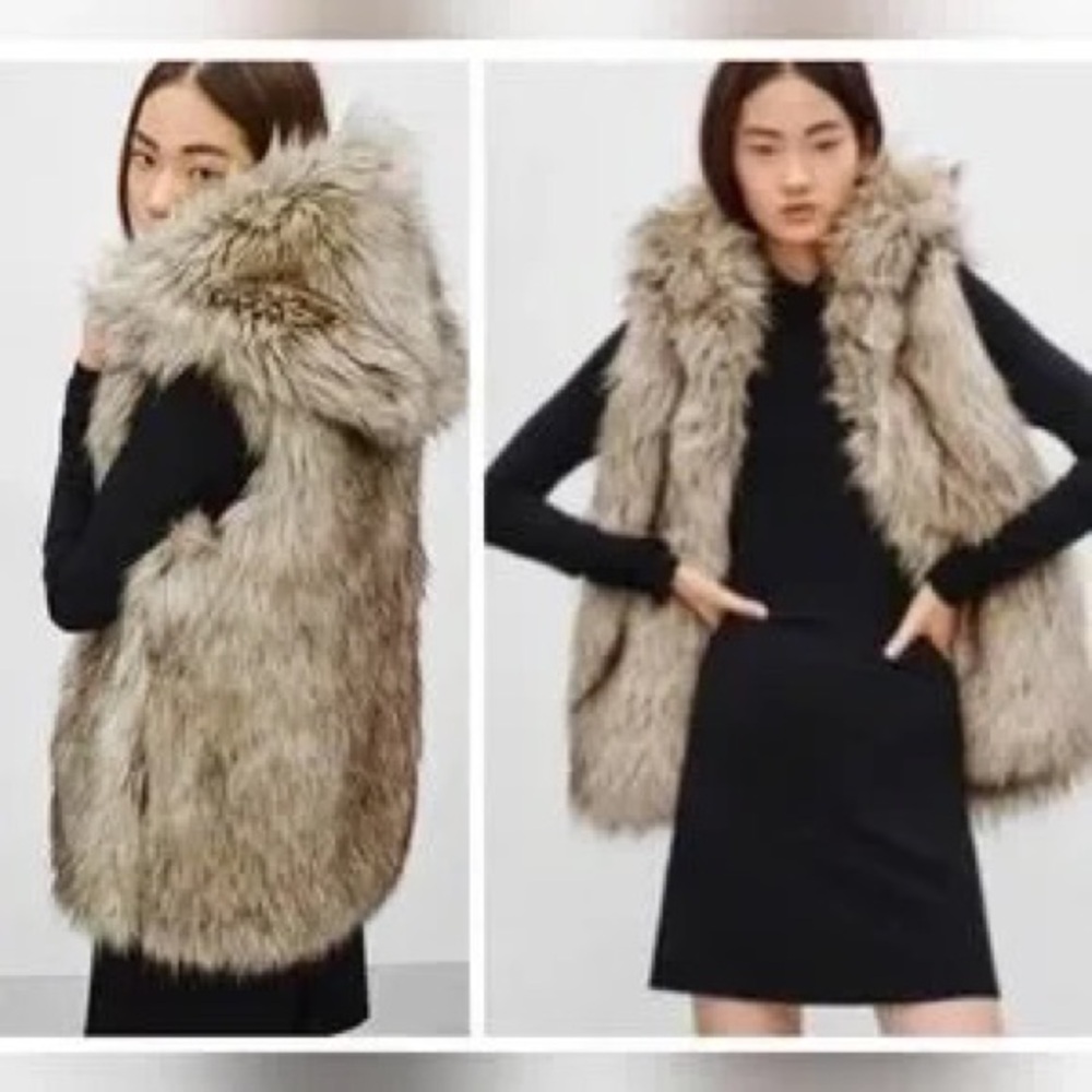 Aritzia Talula Ovid Faux Fur Hooded Vest